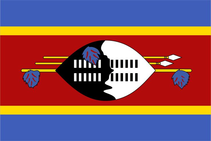private_investigation_Eswatini
