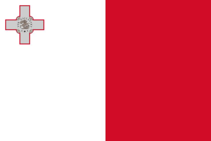 private_investigation_Malta