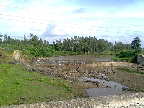 Tapi