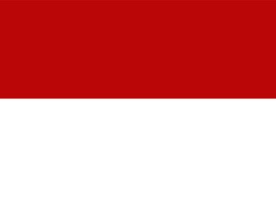 private_investigation_Indonesia