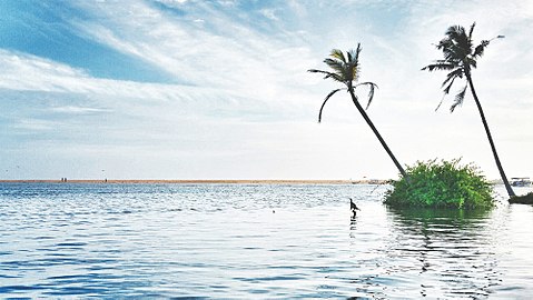 Thiruvananthapuram