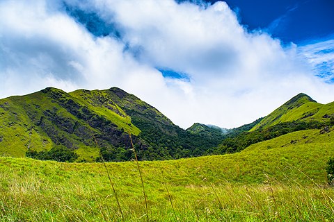 Wayanad
