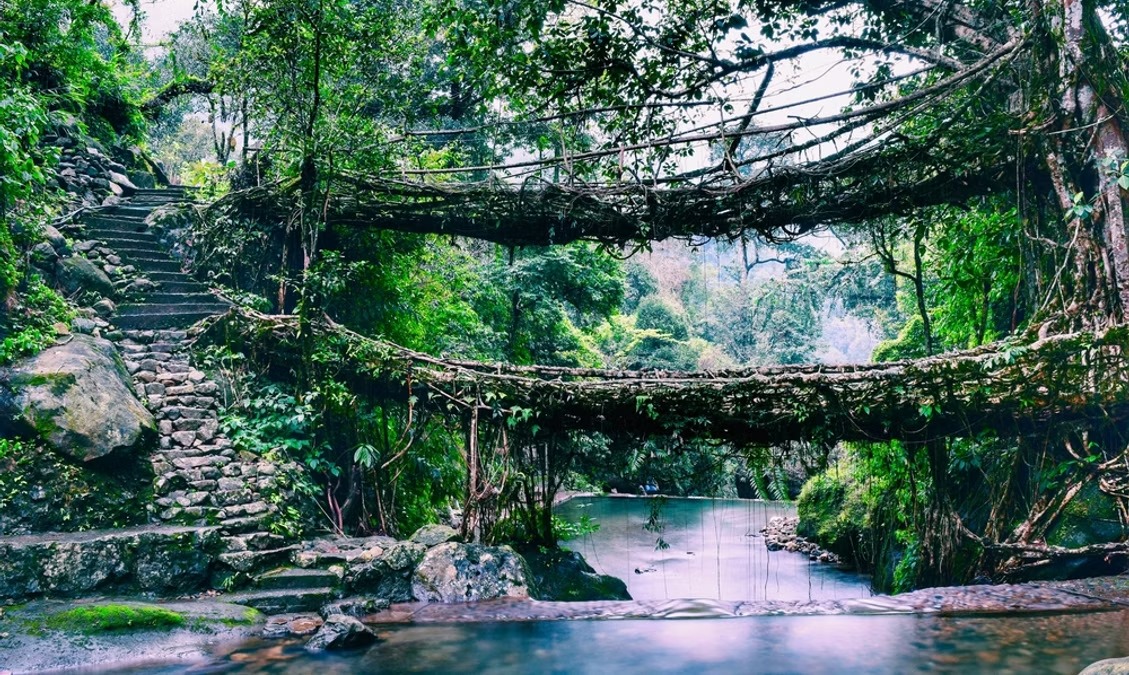 private_investigation_Meghalaya