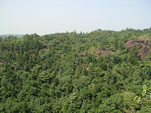 private_investigation_Jharsuguda